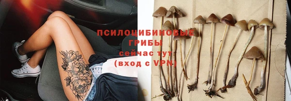 ПСИЛОЦИБИНОВЫЕ ГРИБЫ Абаза