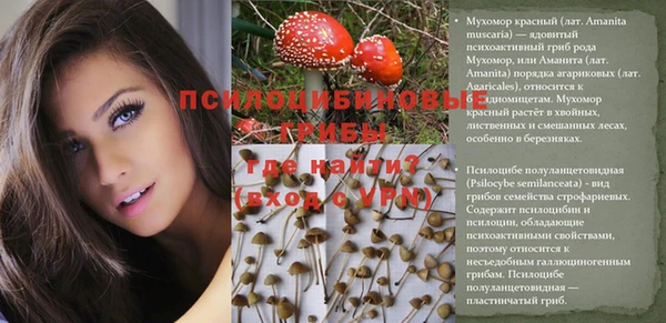 стафф Алексеевка