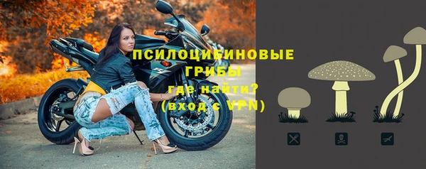 амф Абинск