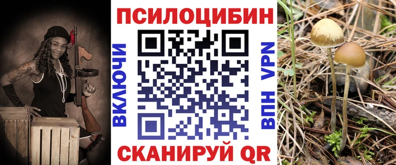 Псилоцибиновые грибы Psilocybe  где купить наркоту  Вилючинск 